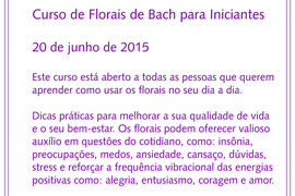 Florais de Bach, Curitiba, Odontologia, Bem-estar, Qualidade de vida.
