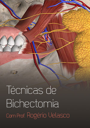 Técnicas de Bichectomia