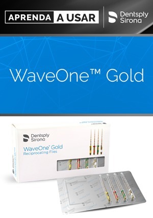 Aprenda a Usar: WaveOne Gold