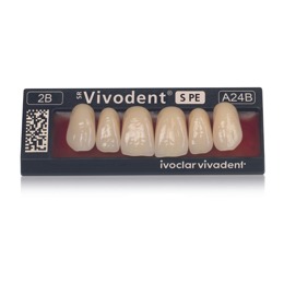 SR Vivodent S PE