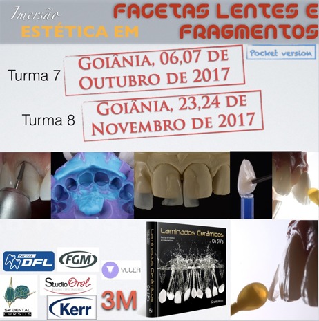 Imersão em Facetas, Laminados e Fragmentos Cerâmicos