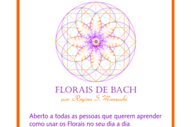 Intensivo de Florais de Bach para Iniciantes Fases 1 e 2. Curitiba - PR.
Seja bem-vindo (a)!