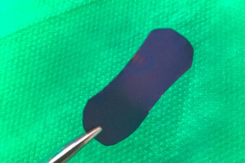 Membrana Titanio Seal Bionnovation
