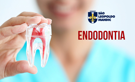 Especialização em Endodontia (Mec/cfo) - Cód.: 3572