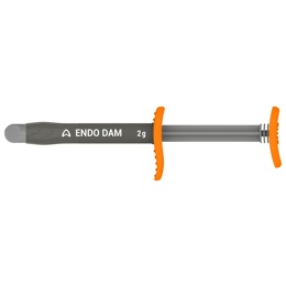 Endo Dam