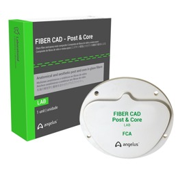 FIBER CAD - Post & Core